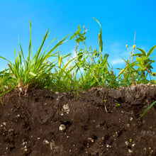 Lade das Bild in den Galerie-Viewer, Carbuna BAK Bioaktive Pflanzenkohle mit Mikroorganismen | Bodenhilfsstoff