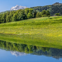 Lade das Bild in den Galerie-Viewer, Carbuna BAM Bioaktive Mikroorganismen, flüssig | Bodenhilfsstoff