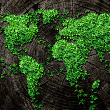 Lade das Bild in den Galerie-Viewer, Carbuna CPK 5 Pflanzenkohle, mittelkörnig | Holzkohle