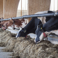Lade das Bild in den Galerie-Viewer, Carbuna TFK Tierfutterkohle | Einzelfuttermittel