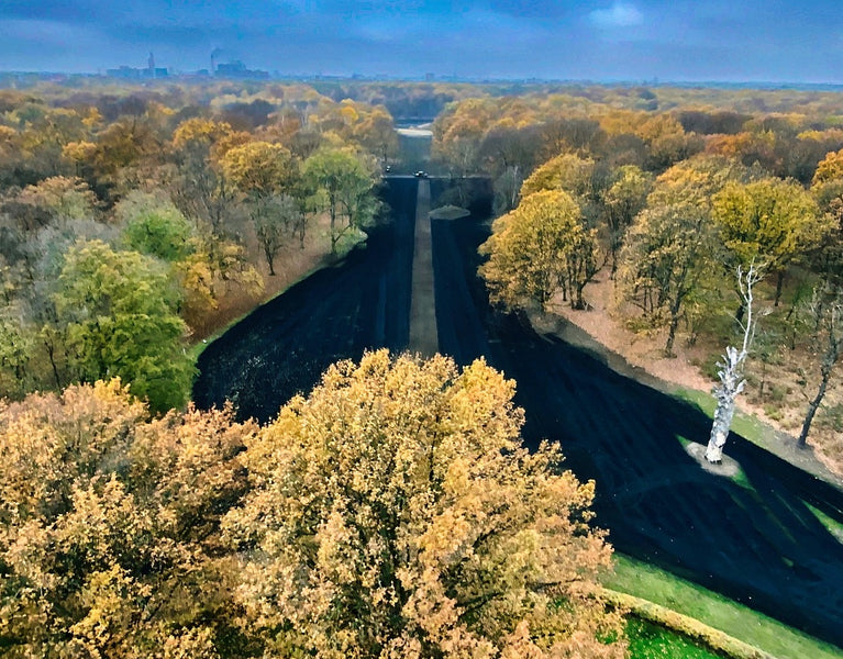 Feldversuch Jungfernheide im Wettbewerb "Regenial" ausgezeichnet